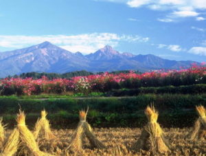 甲斐適生活相談会2009 ～ご案内～